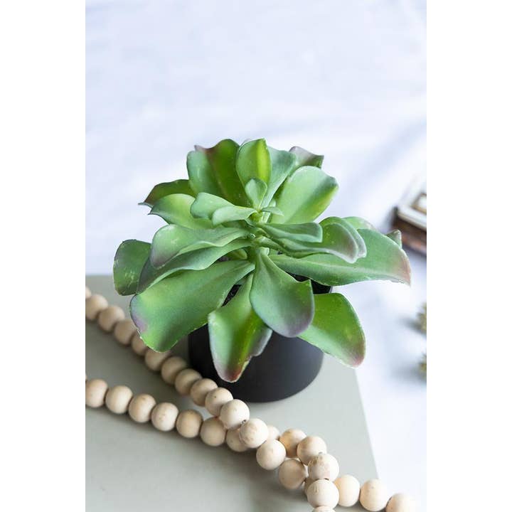 A&B Home Group Inc. – wholesale Artificial plant – Potted Succulent9