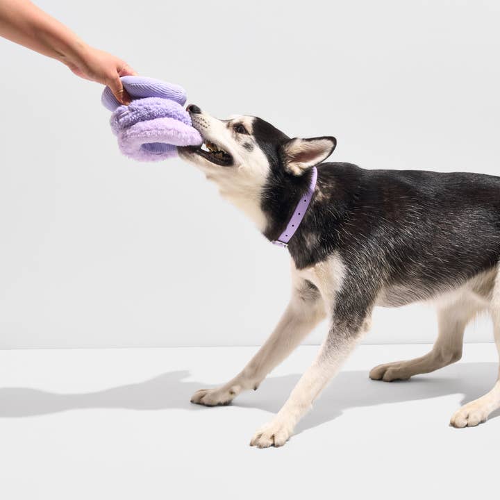 Wild One - Wholesale Pet Plush Toy - Dog - Tennis Tuft3