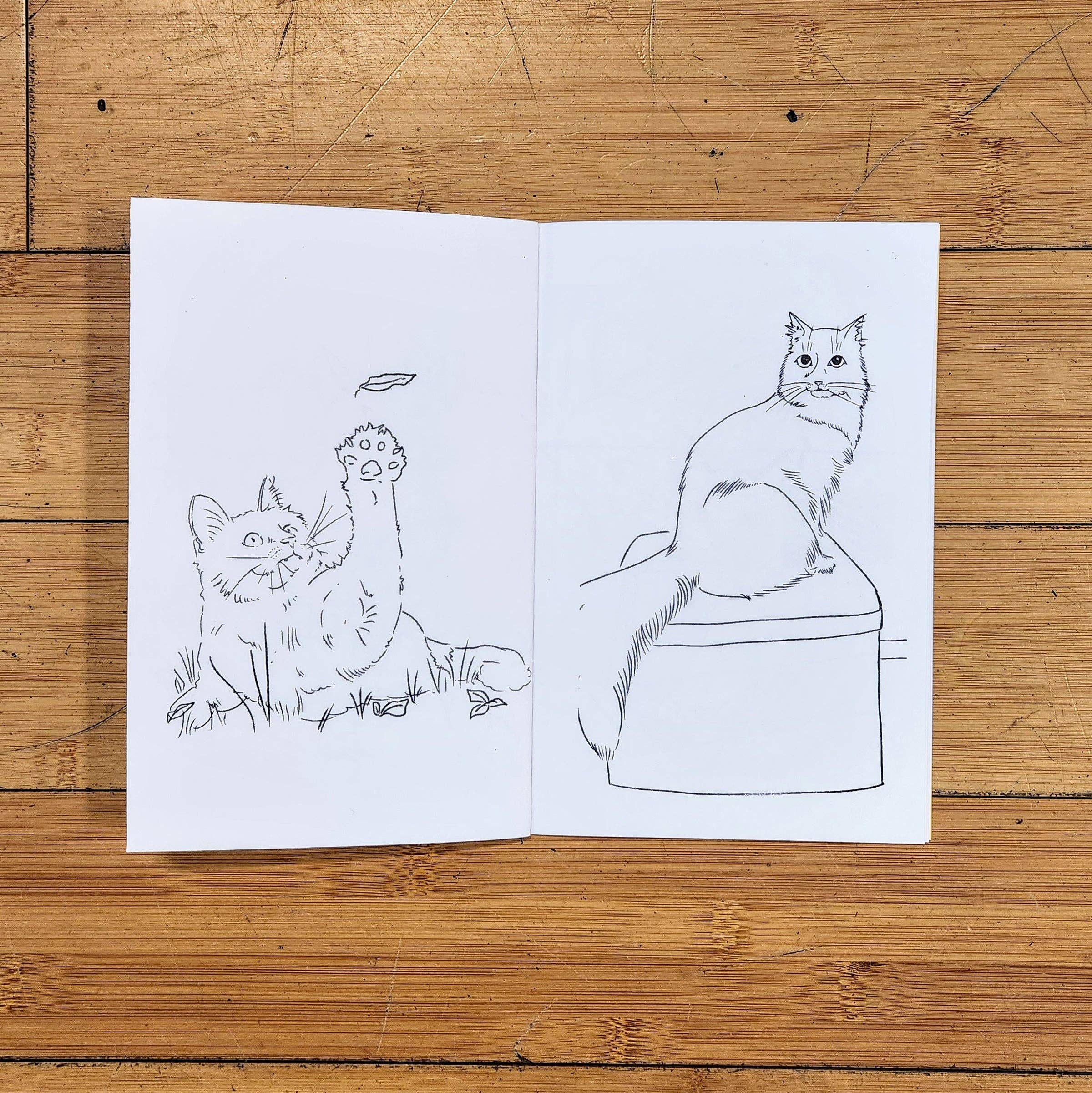 Push/Pull Press – wholesale Målarbok - Barn och baby – Färglägg en kattgrupp: Kattfärgbok av Maxx FG3