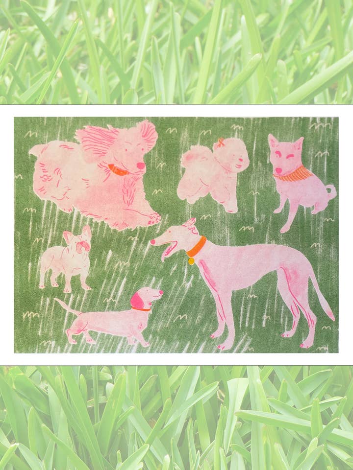 Dog Park for wholesale by mad dog studio