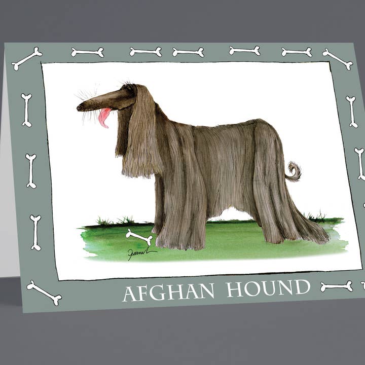 Afghan Hound greeting cards (pack of 6) for wholesale by Tony Fernandes Design
