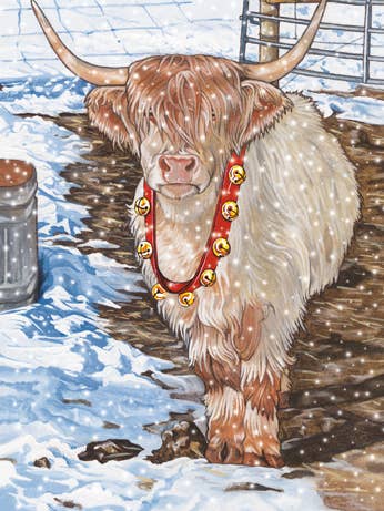 Weihnachtskarten „Cow Scottish Highland“, 10er-Pack für den Großhandel von Pipsqueak Productions