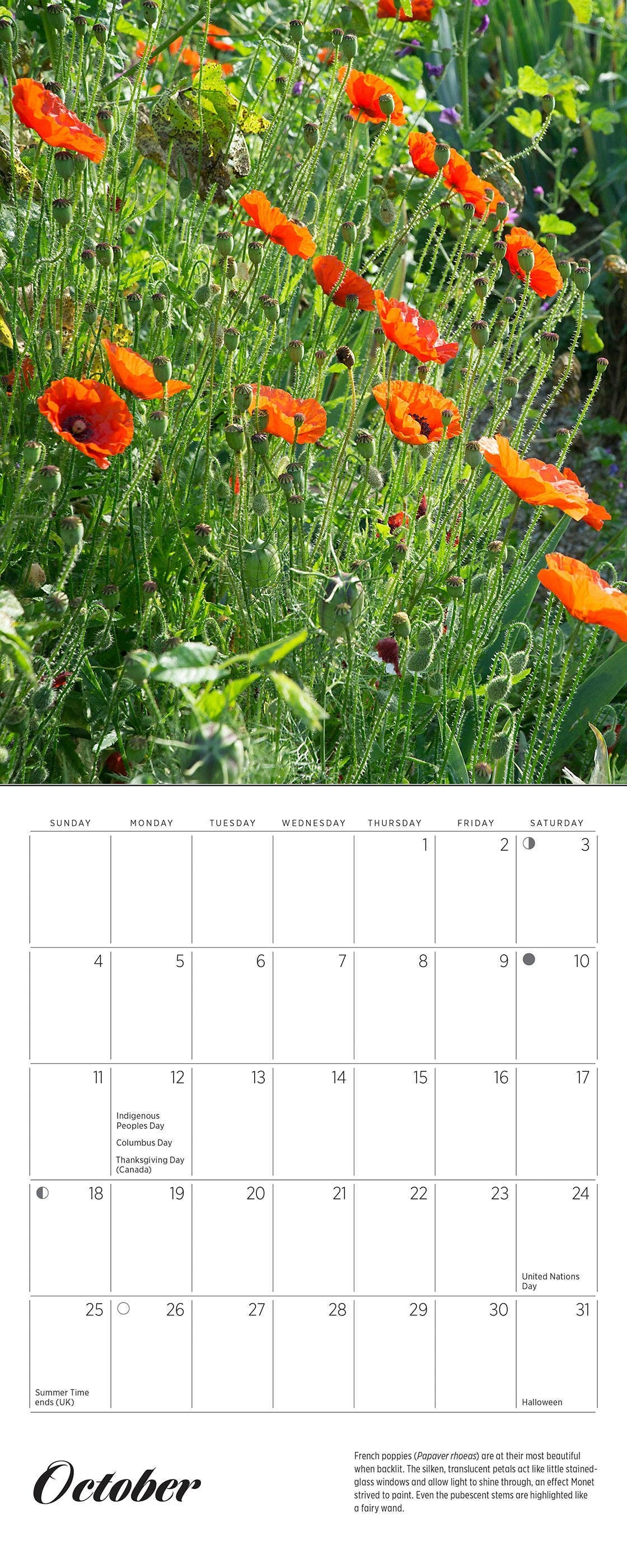 Pomegranate – wholesale Calendar – Monet’s Passion: The Gardens at Giverny 2026 Mini Wall Calendar4