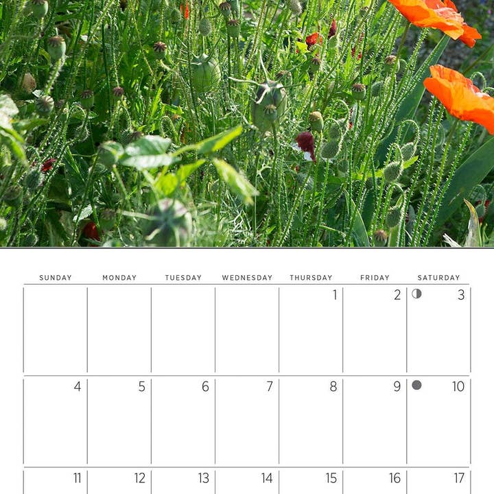 Pomegranate – wholesale Calendar – Monet’s Passion: The Gardens at Giverny 2026 Mini Wall Calendar4