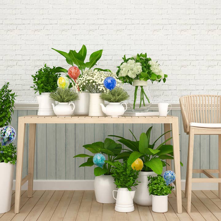 Lexi Home - Wholesale Watering Can - Indoor,Outdoor Mini Glass Plant Self-Watering Globes