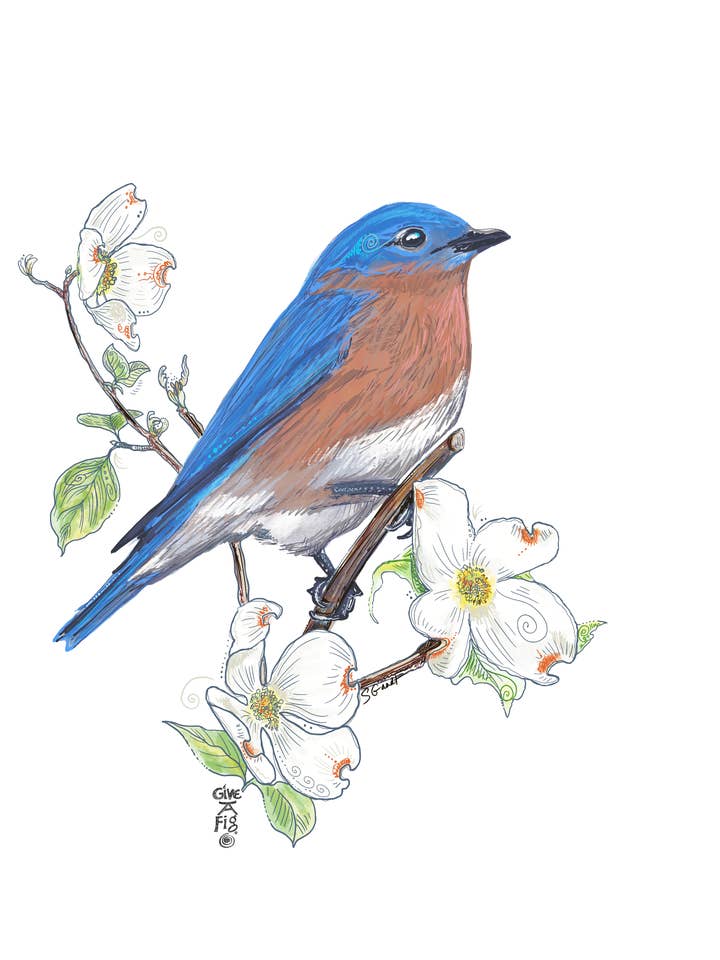 Bluebird Tea Towel for wholesale by Give A Fig