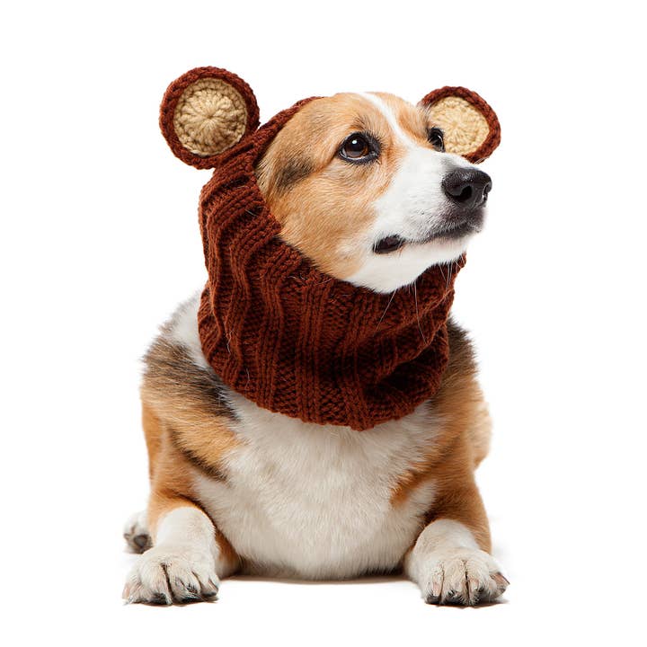 Grizzly Bear Dog Snood for wholesale by Zoo Snoods