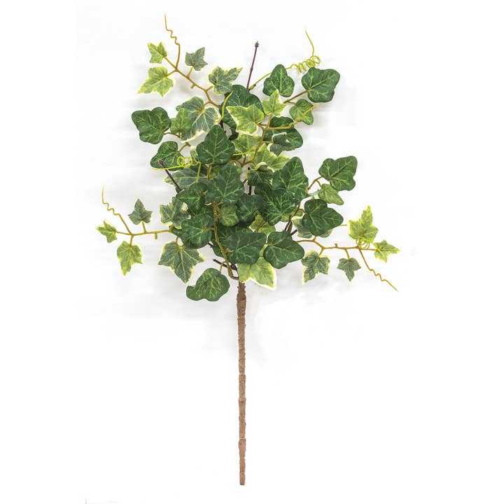 Mixed Ivy & Vine Spray - 18" for wholesale by Saybrook Lane