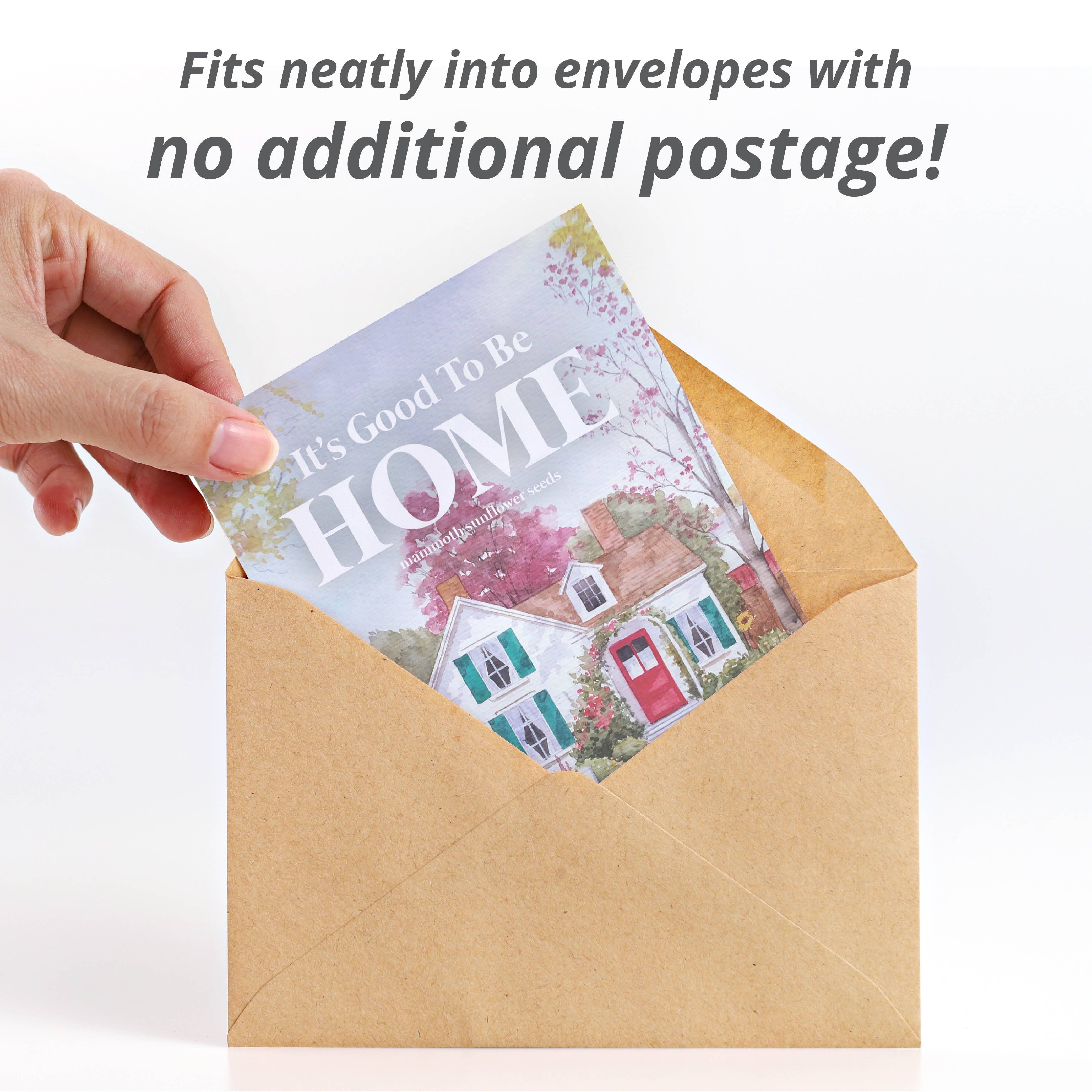 Bentley Seed Co. - Wholesale Plant Seeds - Love Where You Live - Wildflower Seed Packets2