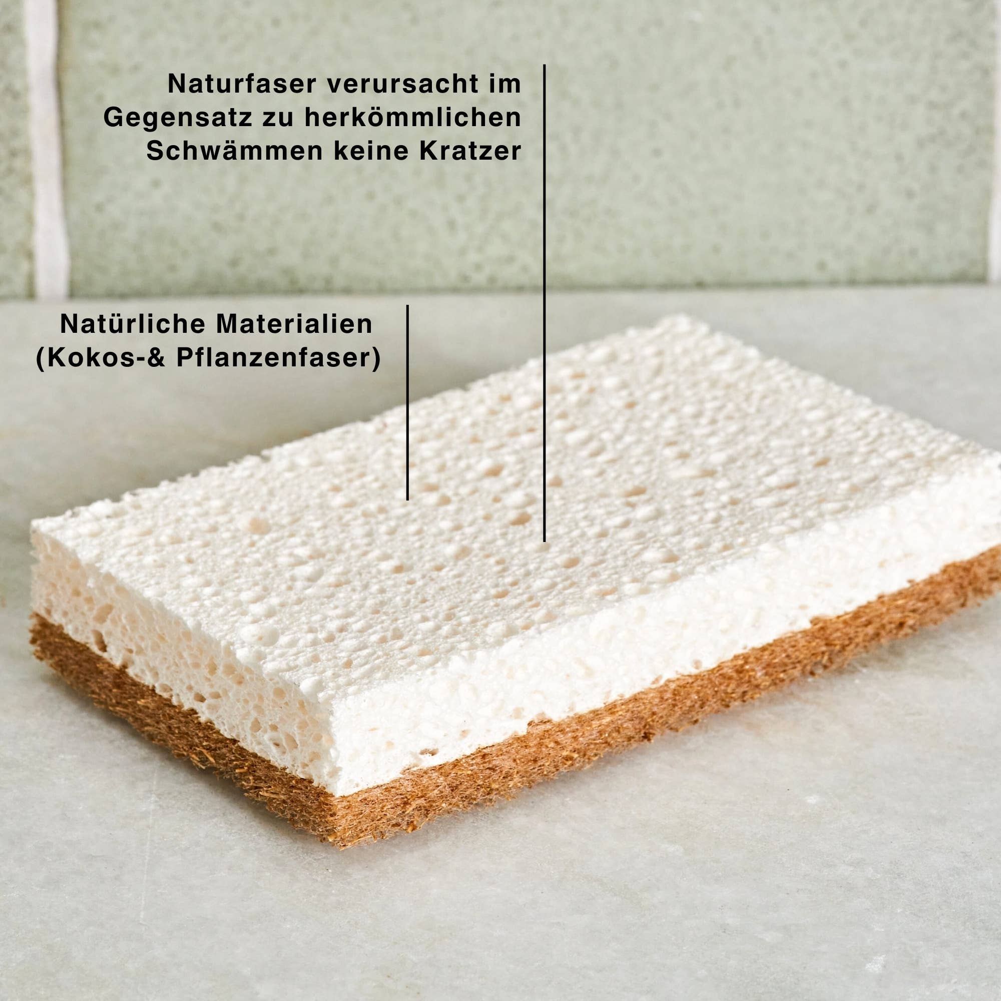 nordesign – wholesale Rengöringssvamp – Kokossvamp i set om 2 – naturlig skrubbsvamp4