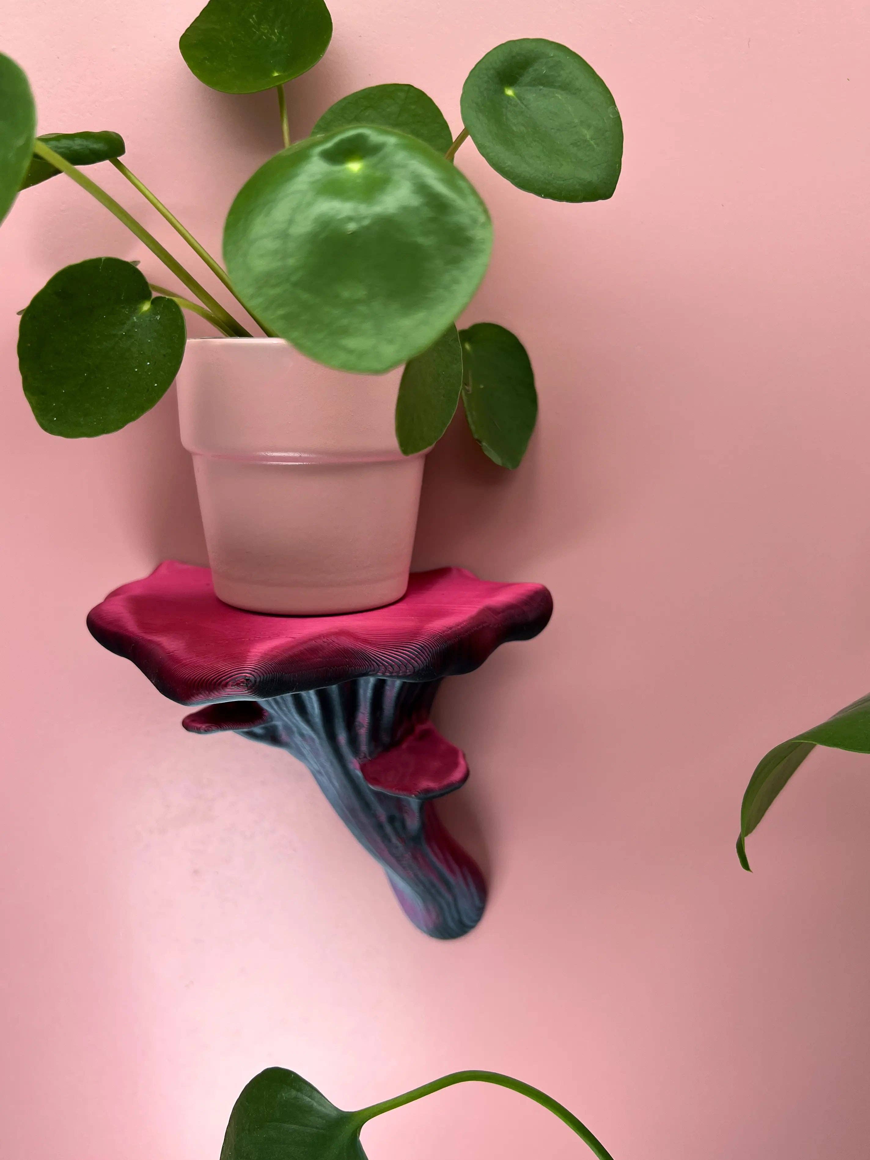 Roomberry - Wholesale Wall Mounted Shelf - Floating Oyster Mushroom Wall Shelf12