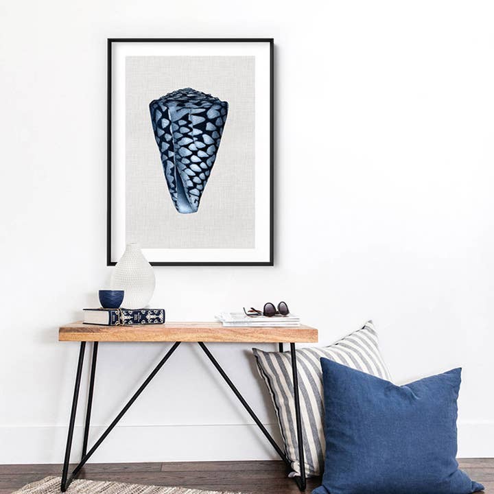 PRINT AND PROPER - Wholesale Art Print - Vintage Style Conus Shell Print. Sea Shell Nautical Poster1