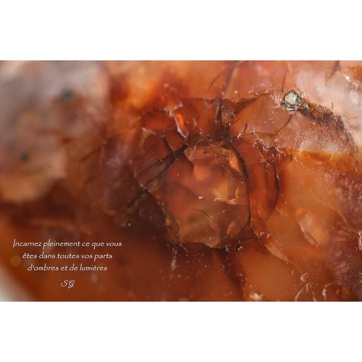 Cornaline pour la vente par L'Ecriture D'Un Regard