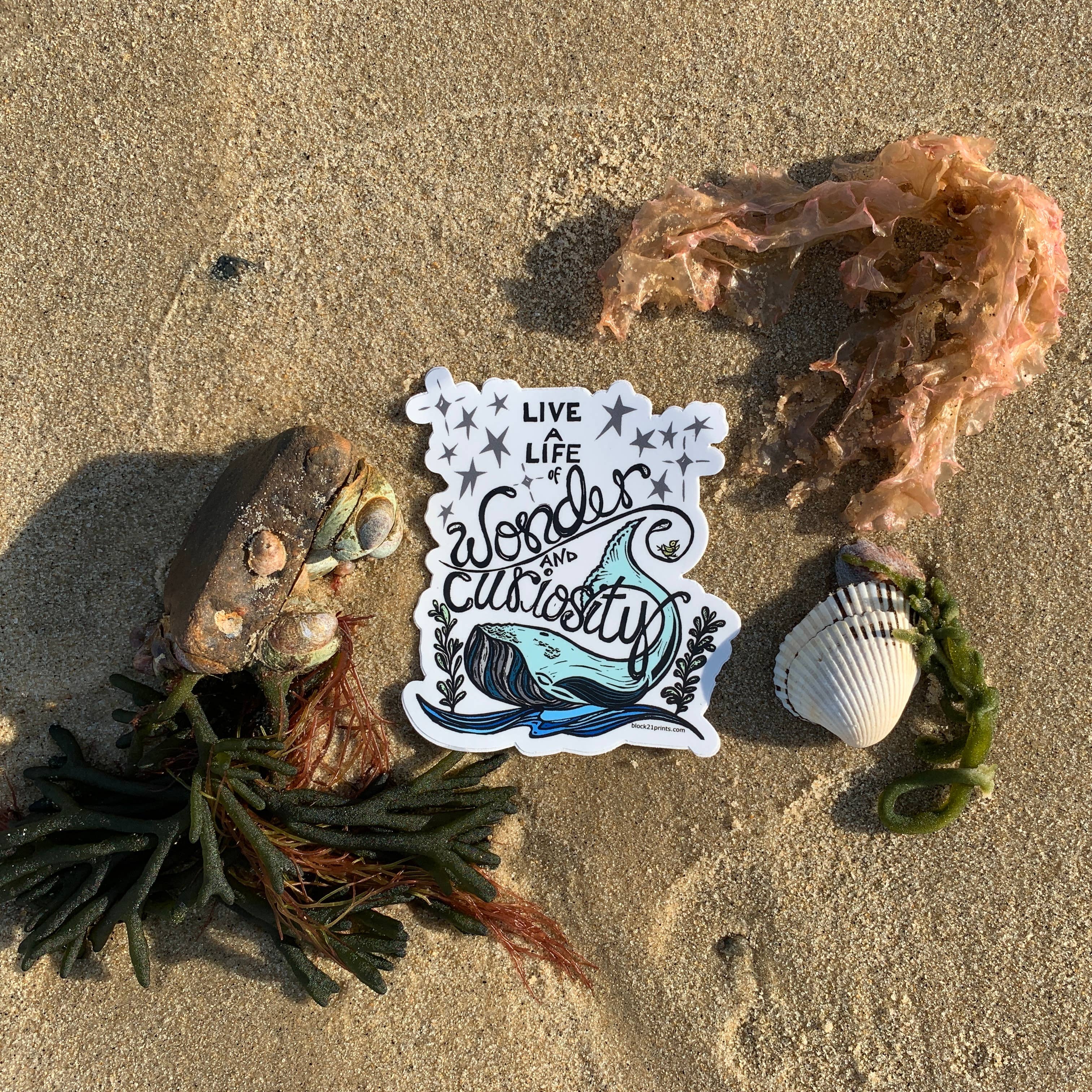 Block21Prints - Wholesale Sticker - Sticker van Verwondering en Nieuwsgierigheid – Walvis Kust Oceaan Decal3