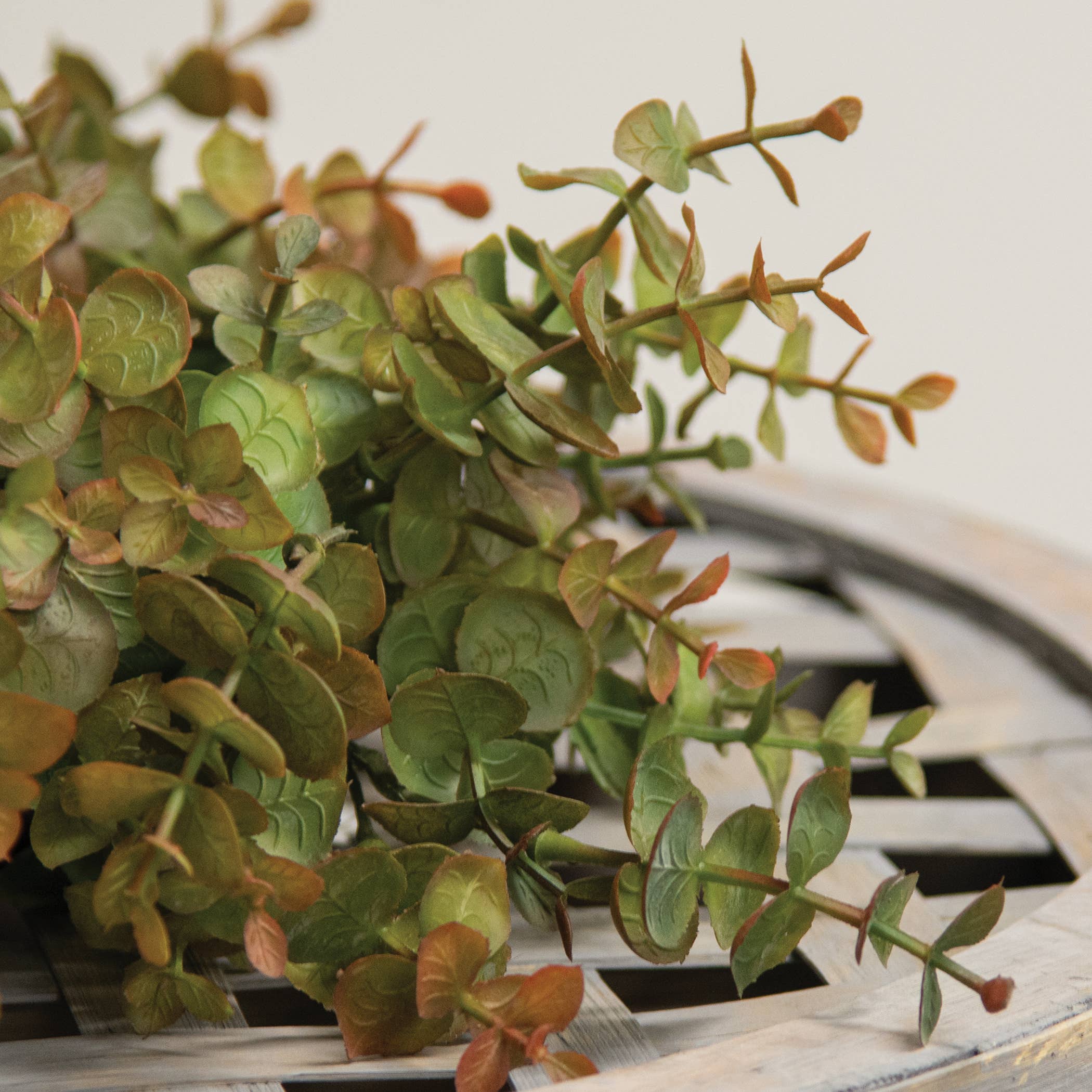 Saybrook Lane – Engroshandel Krans – Blød Touch Baby Eucalyptus Krans - Olivengrøn - 14"2