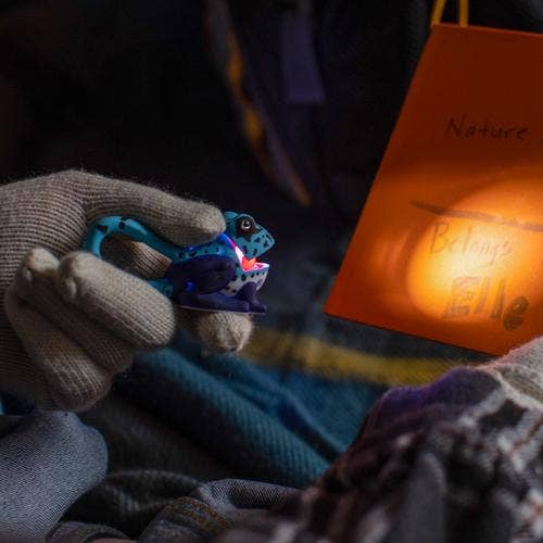 Sun Company / Big Discoveries – Großhandel Leuchtspielzeug – Kind & Baby – LifeLight Animal Karabiner-Taschenlampe, Blauer Frosch