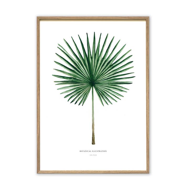 Konsttryck - Fan Palm för wholesale av Leo La Douce GmbH