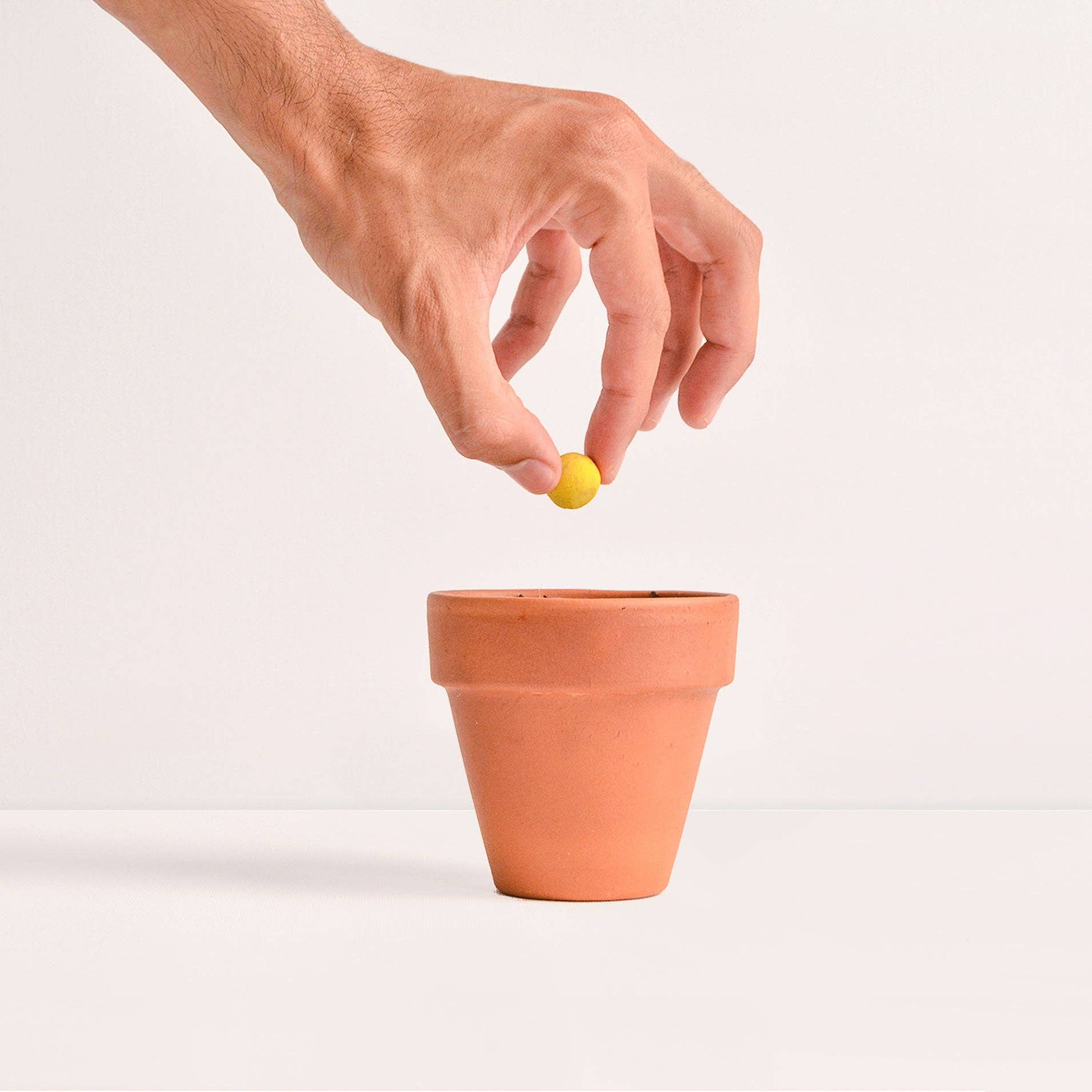 Rippotai - Wholesale Party Favor - Plantable Seed Wedding Favor for Eco-Friendly Wedding4