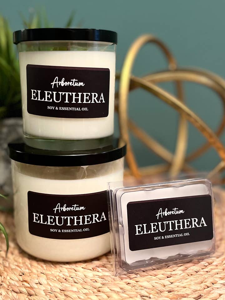 Eleuthera Soy for wholesale by Arboretum