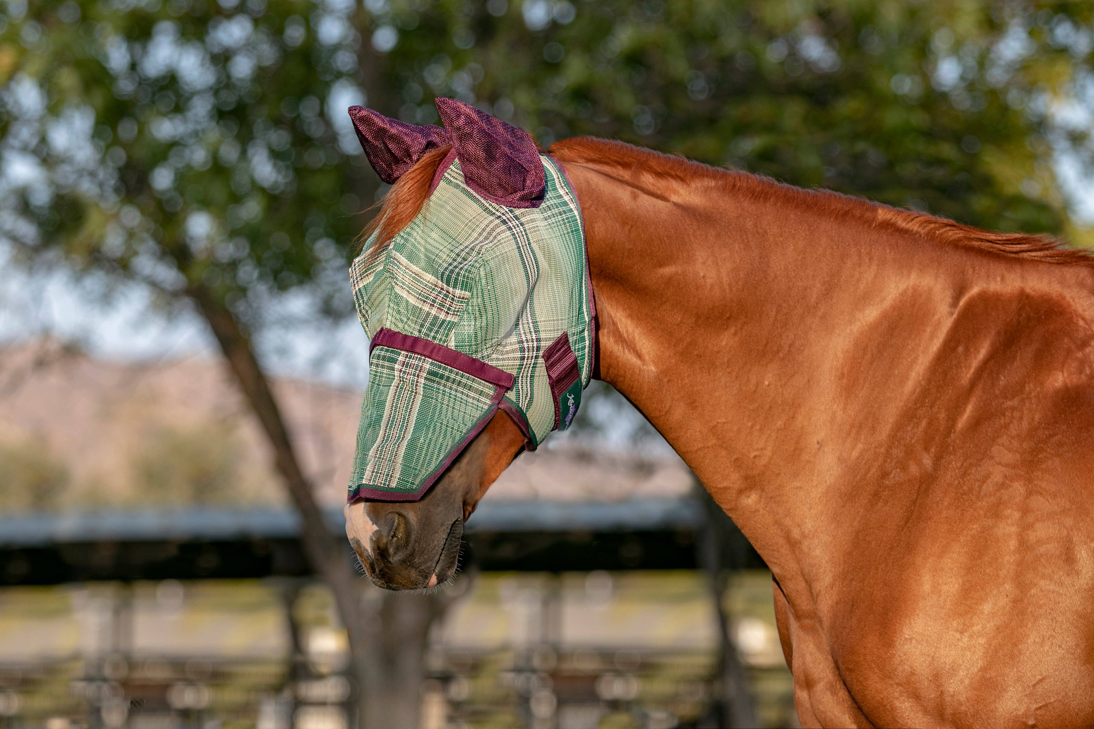 Kensington - Wholesale Horseback Riding Gear - 73% UV Fly Mask with Removable Nose - Soft Mesh Ears & Forelock Opening3