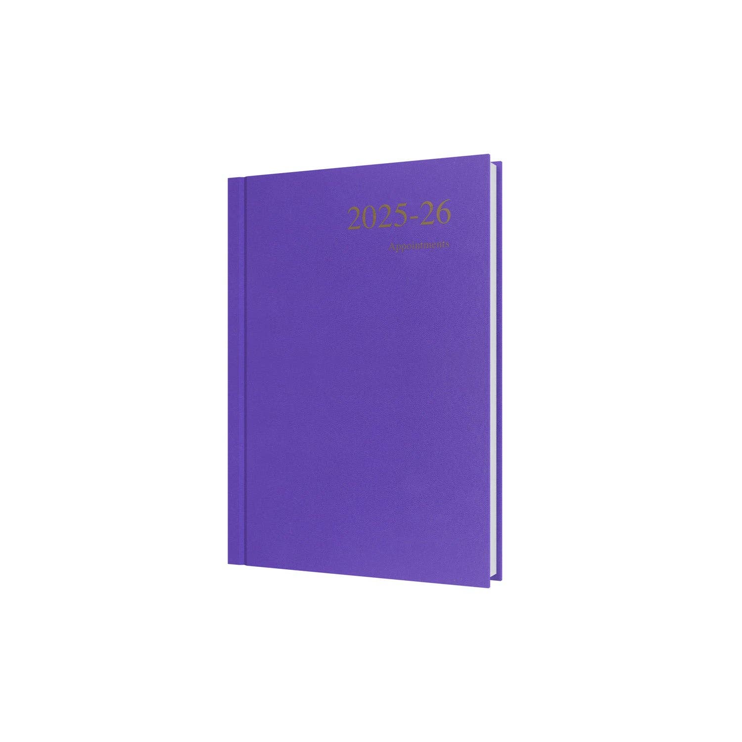 Collins Debden - Vente Agendas - Essentiels - Agenda Planificateur Année Scolaire/Milieu de l'Année A5 Jour par Page avec Rendez-vous, Juillet 2025 - Juillet 20262