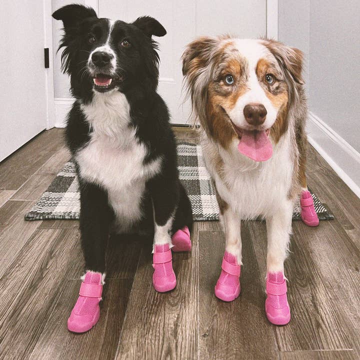 RIFRUF - Vente Bottines – chien - César 134