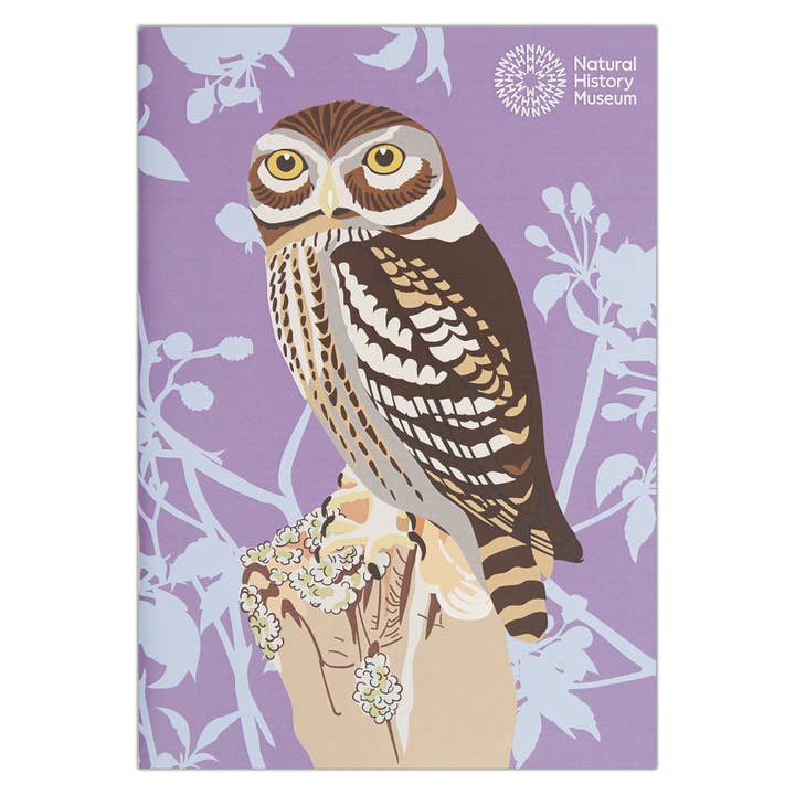 West Design Products UK - Wholesale Sketchbook/Sketchpad - Natural History Museum A5 Sketchbooks, 3 Pack British Birds