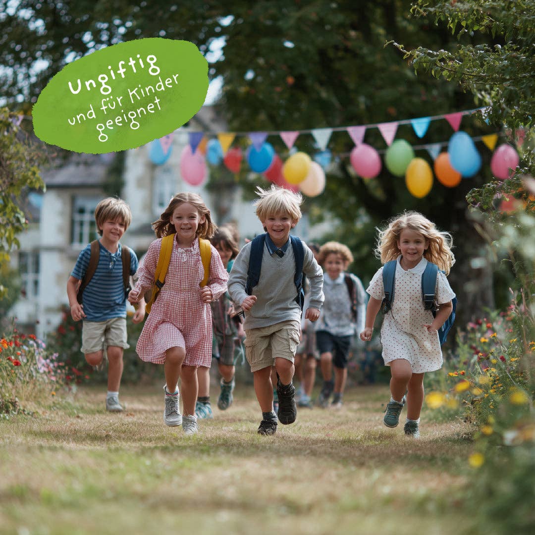 TDJ Stadtgärtner GmbH - Wholesale Plant Seeds - 5 flower marbles in a glassine bag - "Finally a schoolchild" - school enrollment5