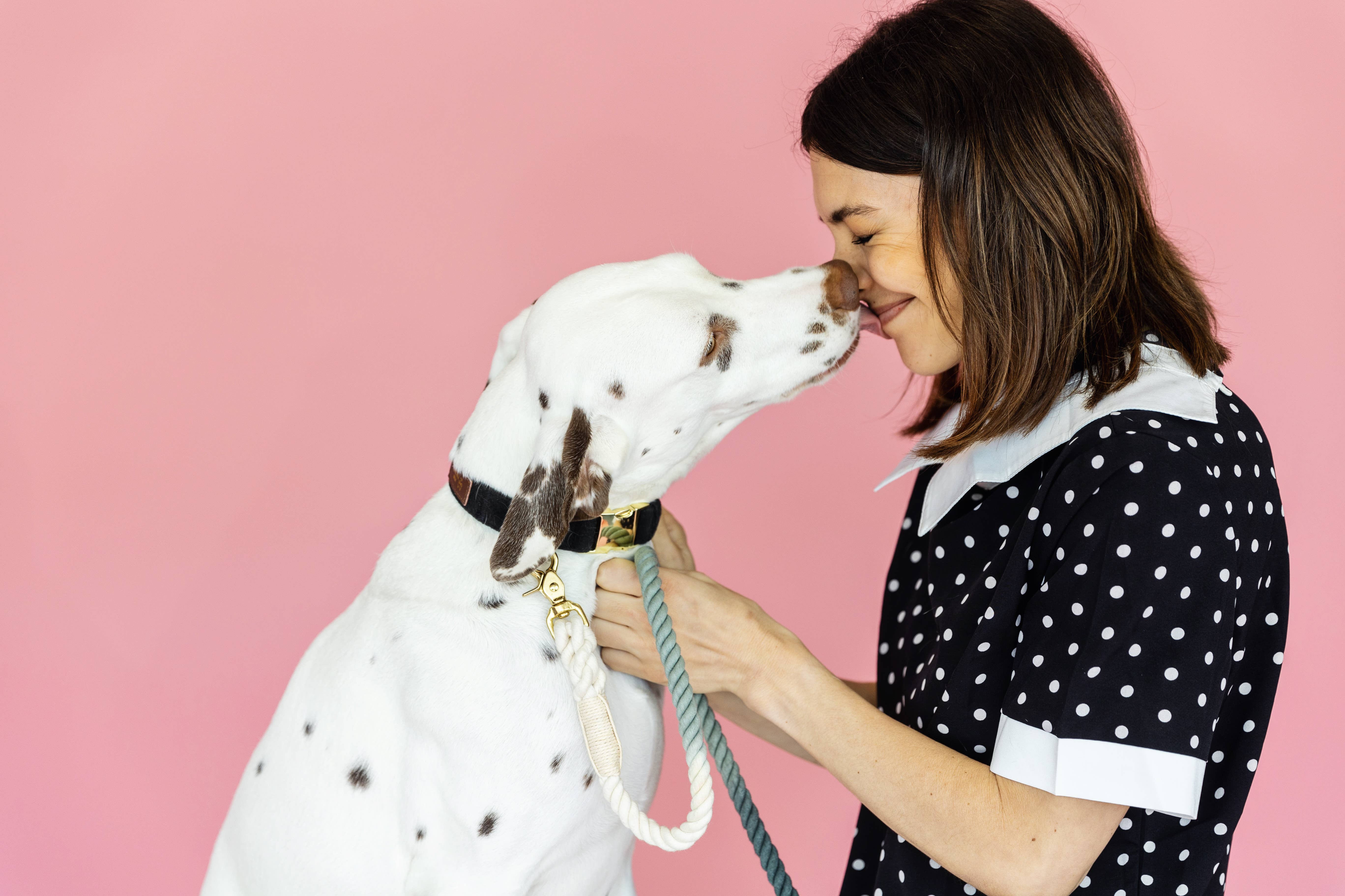 Pink Papyrus | Premium, Durable, & Stylish Dog Products - Wholesale Pet Leash - Dog - Cairo Rope Dog Leash | Dog Leash | Black And Grey Leash4