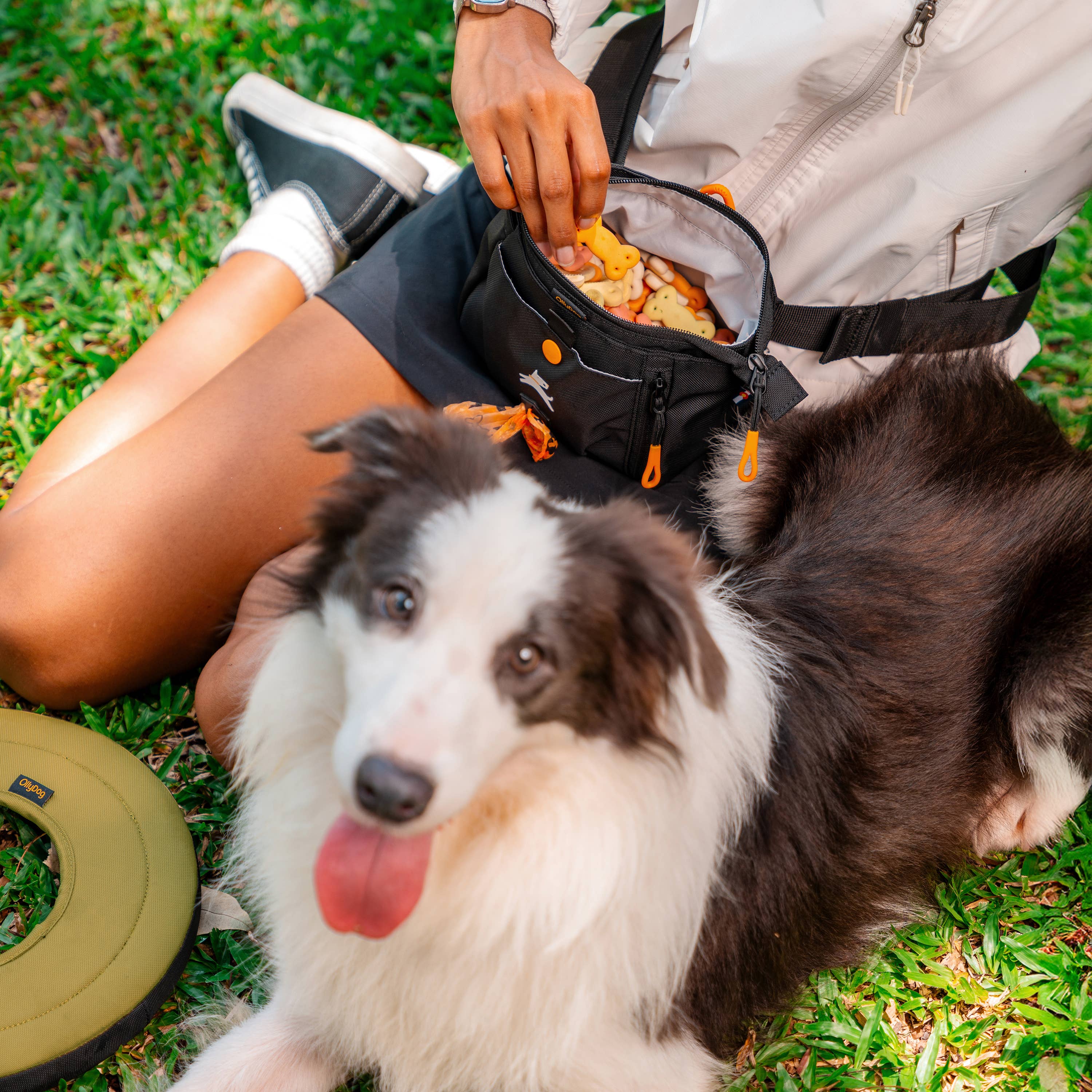 OllyDog - Wholesale Belt Bag - Unisex - Backcountry Day Bag56