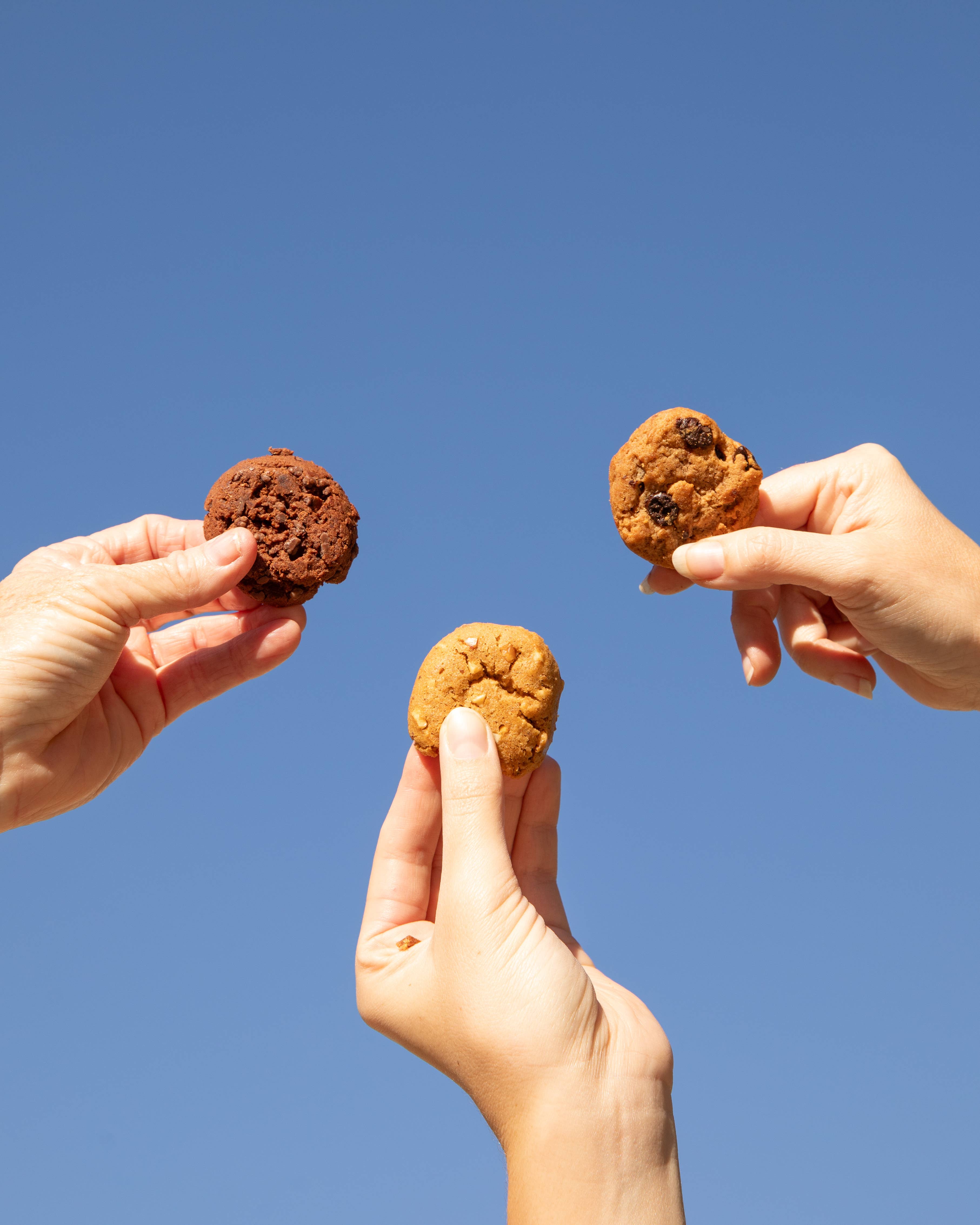 Joydays - Wholesale Cookie - Chocolate Chip Cookie Multi-Pack4