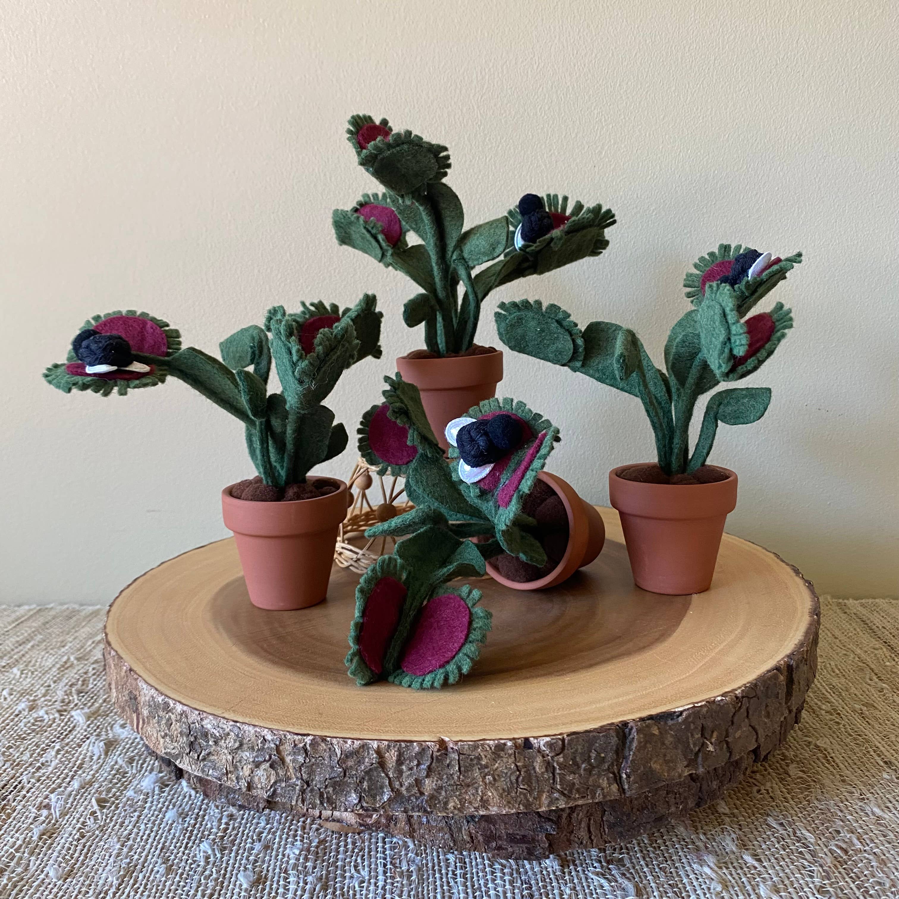 ForgetBKnot - Vente Plantes artificielles - Piège à mouches Vénus en feutre avec mouche en macramé amovible4