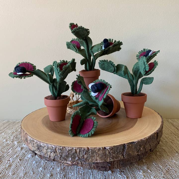 ForgetBKnot - Vente Plantes artificielles - Piège à mouches Vénus en feutre avec mouche en macramé amovible4