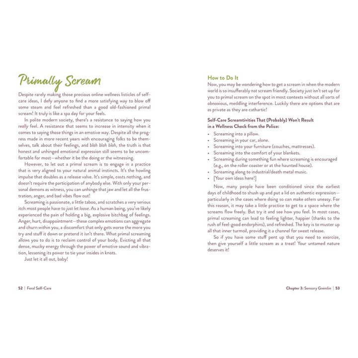 Simon & Schuster - Wholesale Self-Help & Personal Development - Feral Self-Care by Mandi Em2