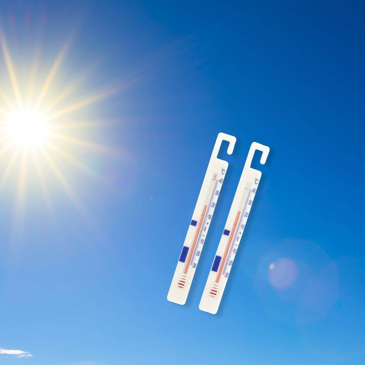 Zenker – wholesale Termometer – FM Professional kylskåp termometer uppsättning 21