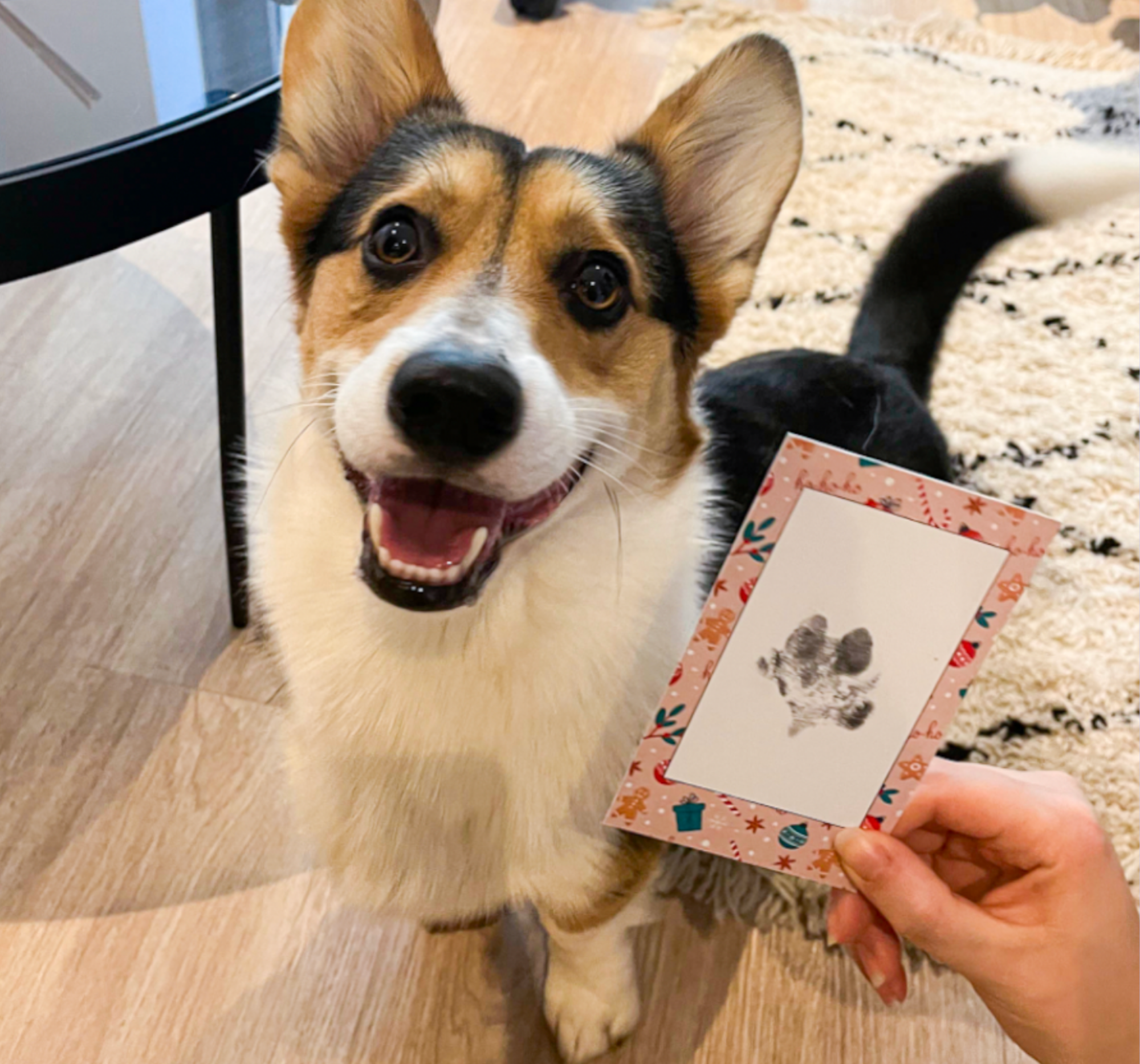 Paw Prints – wholesale DIY craft kit – Pet Paw Print Kits: Cats, Dogs, Puppy, Guinea Pig, Rabbit6