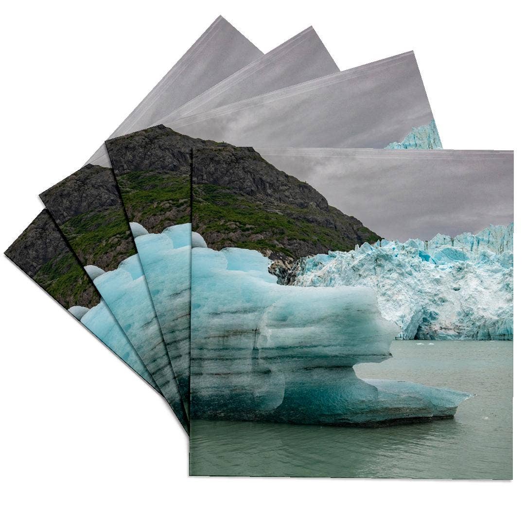 3dRose - Wholesale Onderzetters - 3dRose, IJsbergen van de Margerie-gletsjer smelten langzaam in Glacier Bay., Onderzetter0