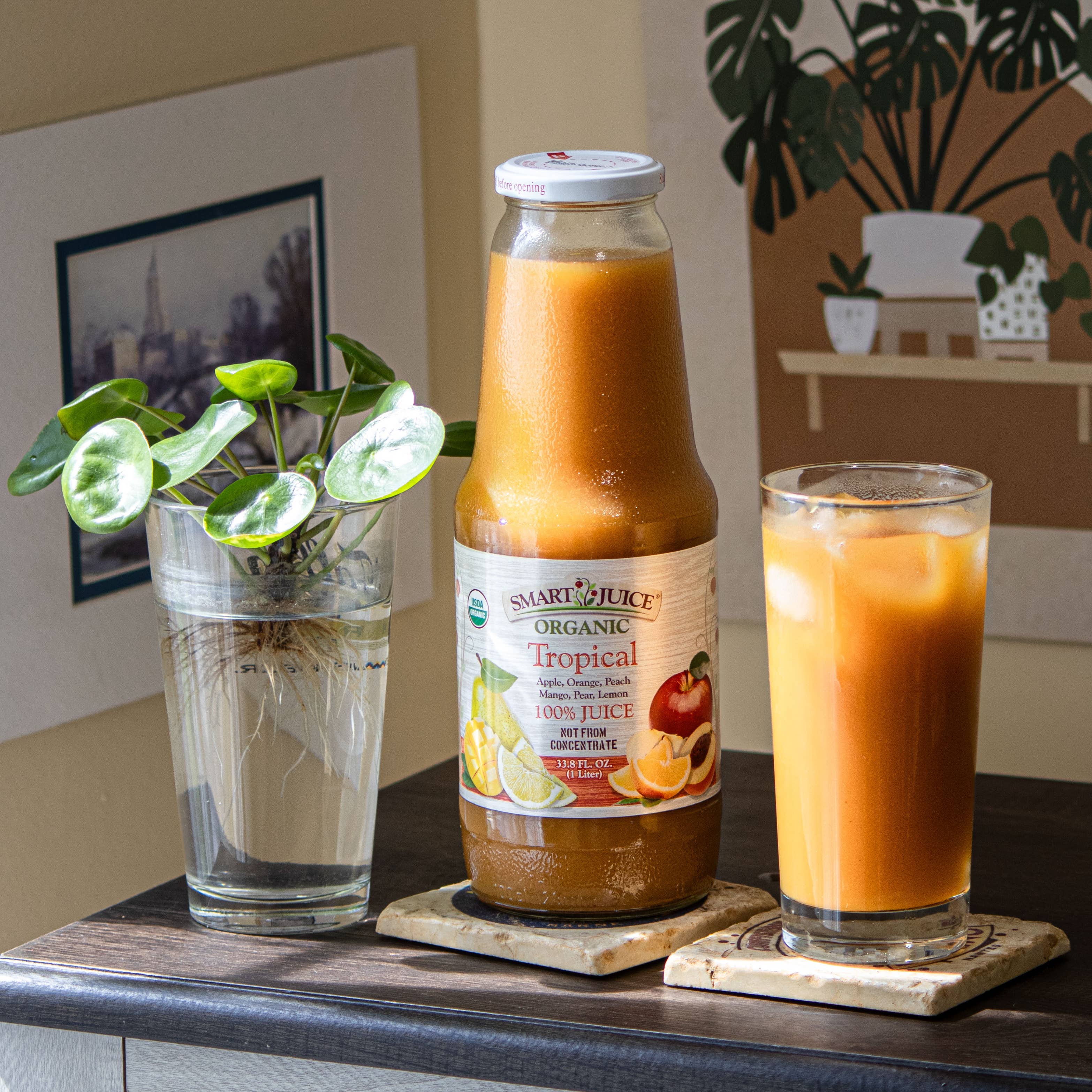 Smart Juice - Wholesale Fruit Juice - Organic Tropical Juice Blend1