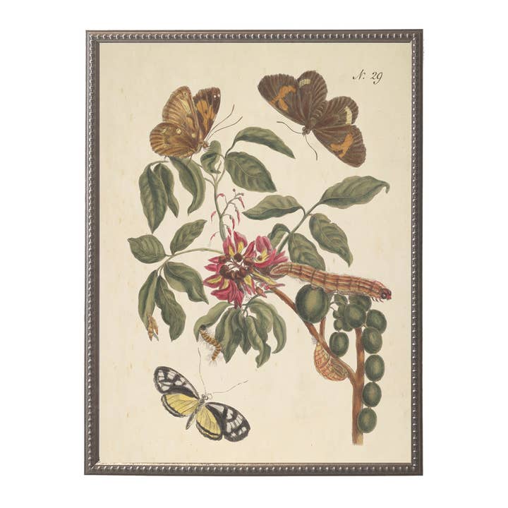 Butterflies and flowers bookplate on distressed background F for wholesale by Antique Curiosities Inc