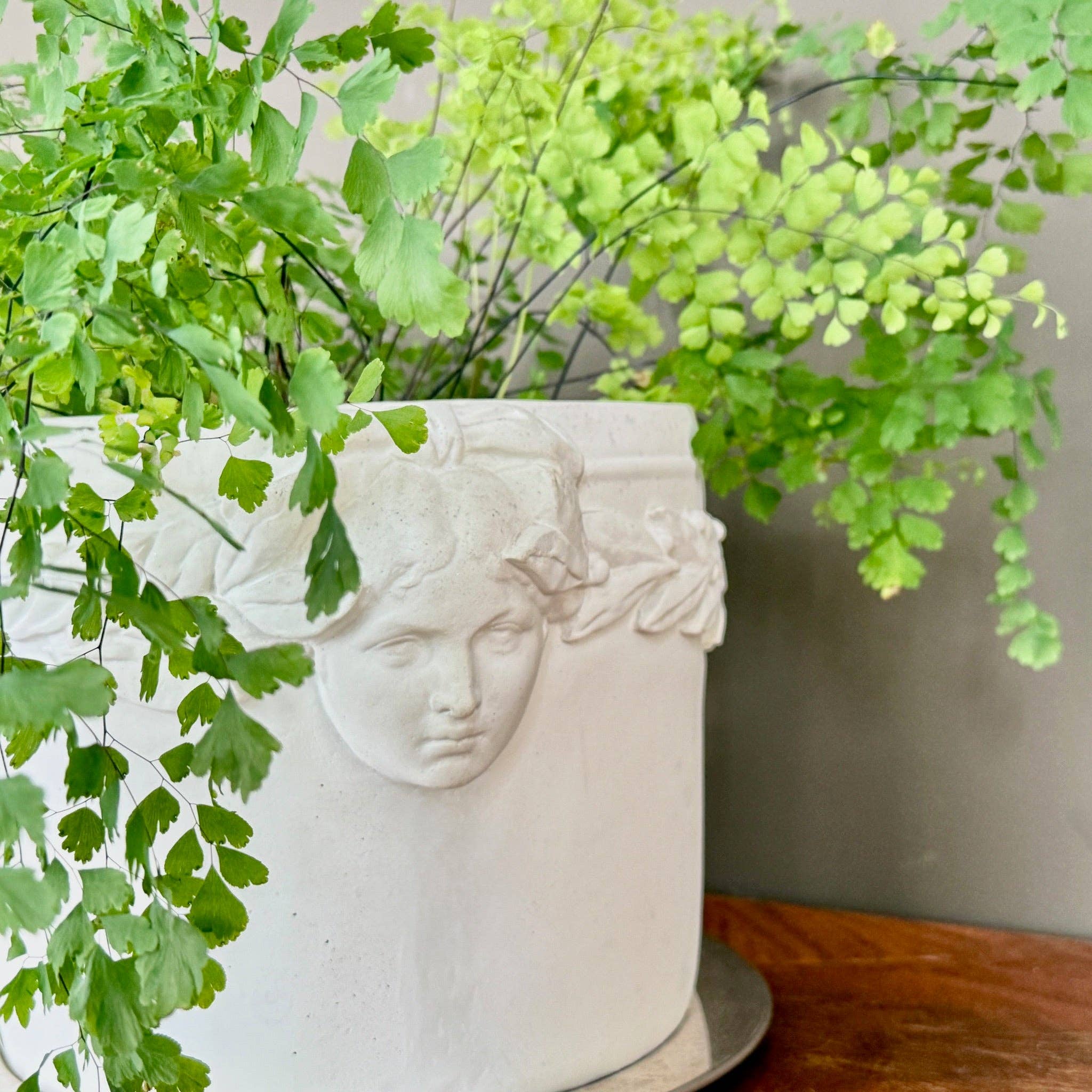 House Parts, Inc. - Wholesale Plant Pot - Laurel Leaves Planter5