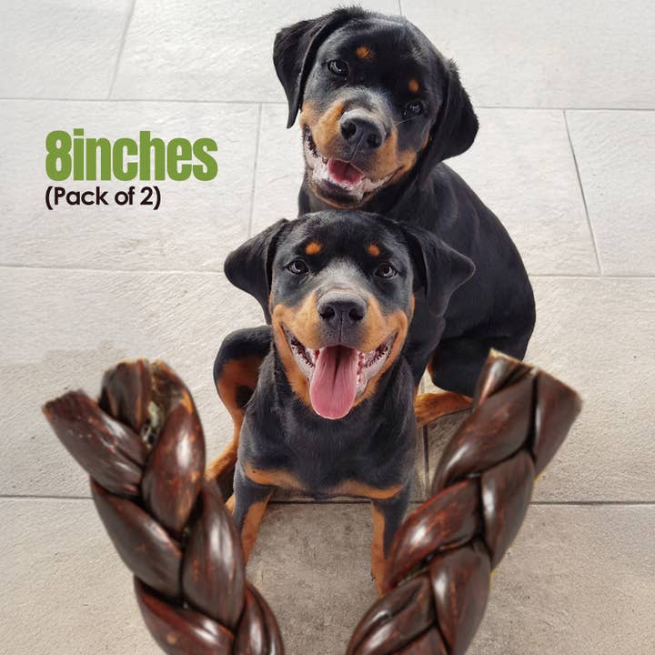 Palz&Co - Wholesale Pet Treats - Dog - Moodog Beef Braided Gullet 8" - Pack of 25