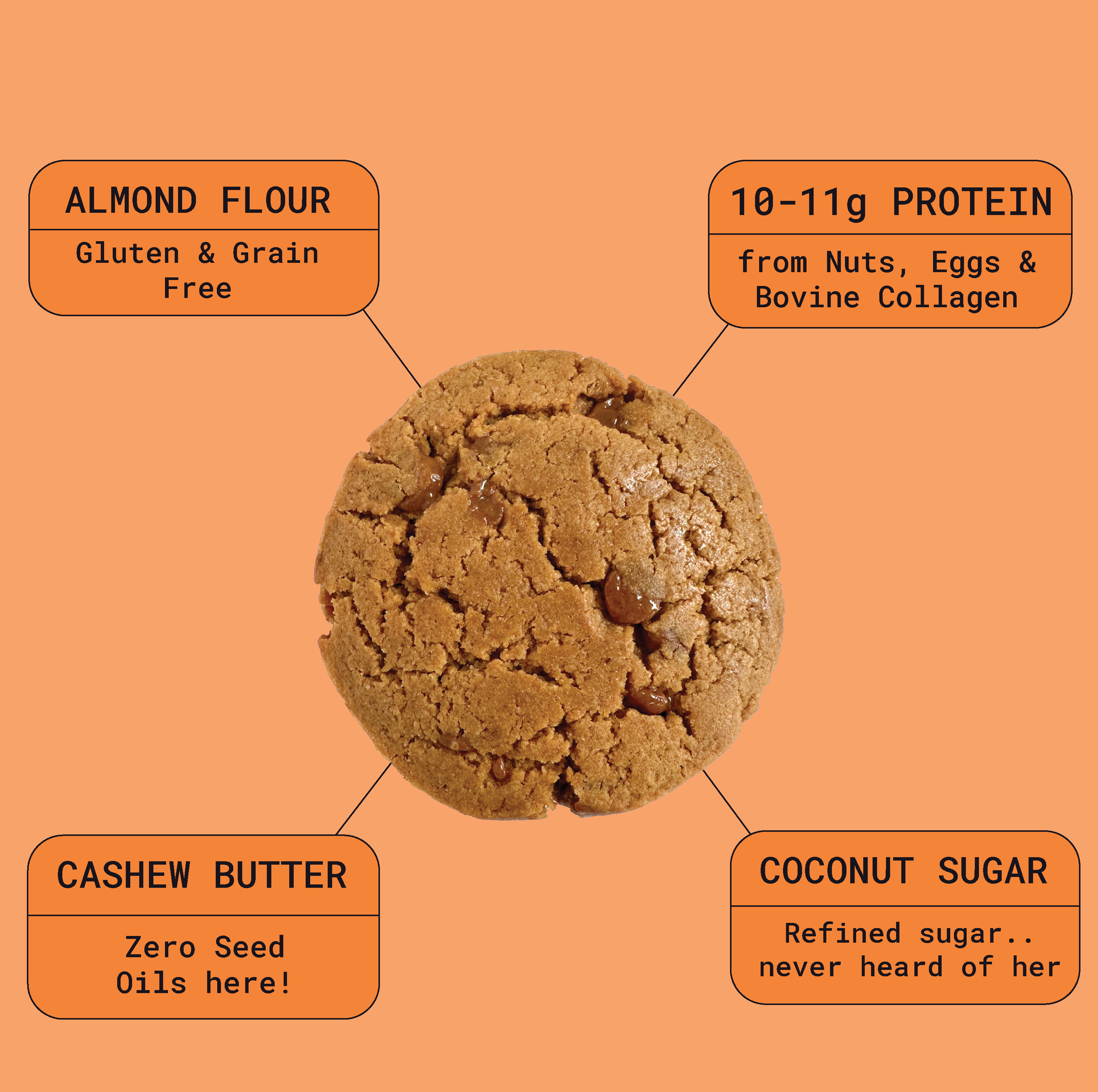 GOOD WORD – wholesale Biscuit – Peanut Butter Protein Cookie - 12 pack ($1.85/unit) (Copy)5