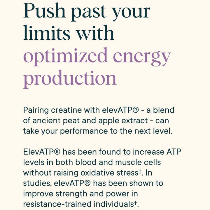 Ora Organic - Wholesale Protein/superfood powder - Next Generation Creatine5