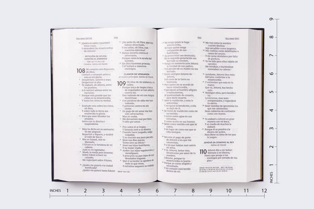 HarperCollins Christian Publishing - Wholesale Religion - RVR60, Santa Biblia, Premio y Regalo, Letra grande, Tapa dur8