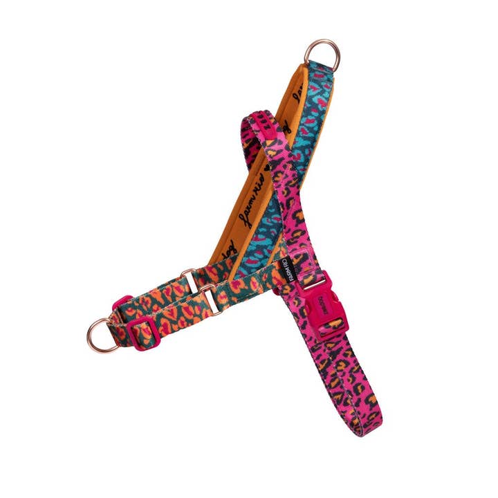 Harnais Norvégien Softer-Walk Farm Rio Selva pour la vente par Hundog - Official zee.dog distributor