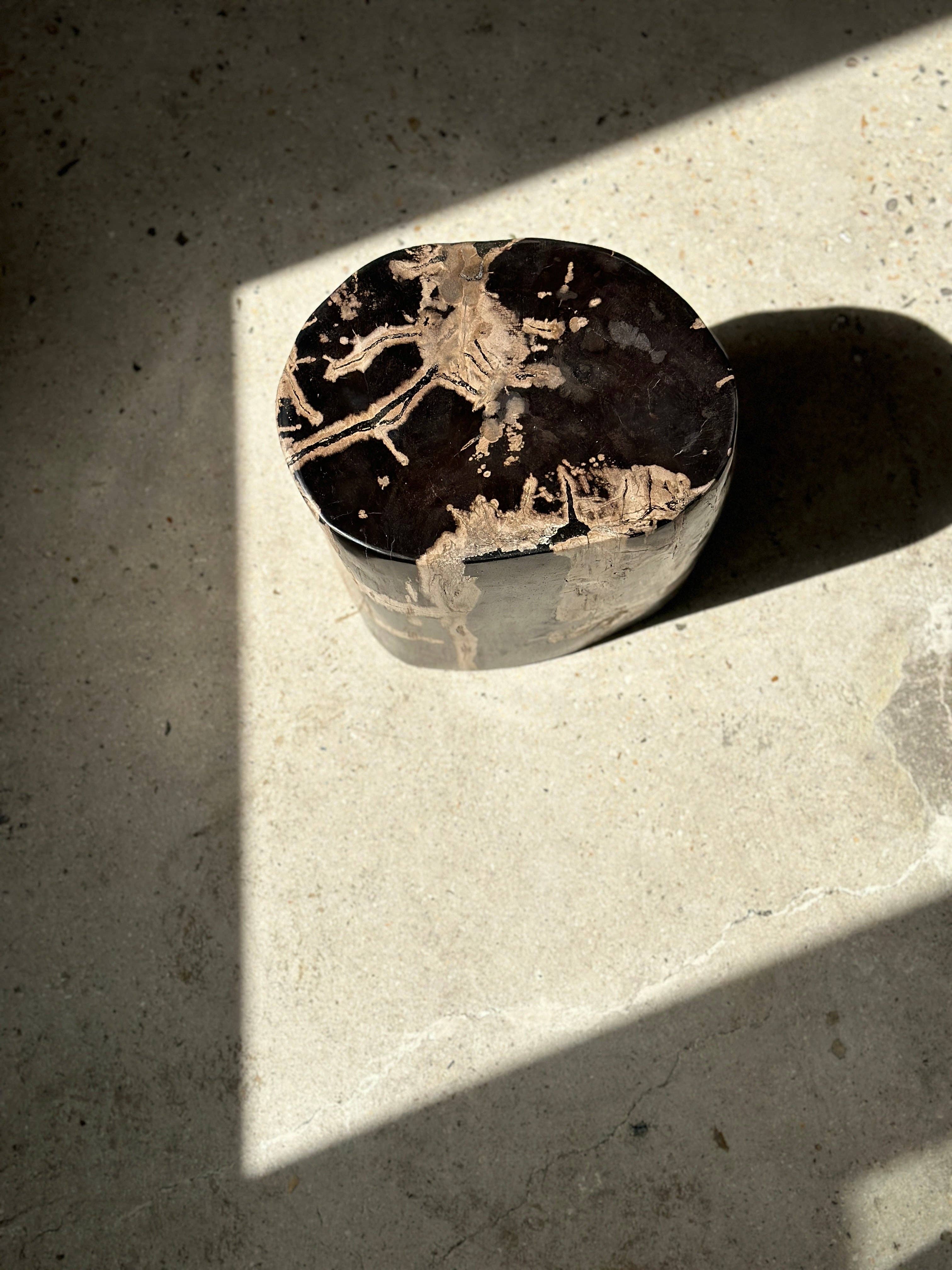 Office Objets - Vente Tables d'appoint - Table d'appoint en bois pétrifié2