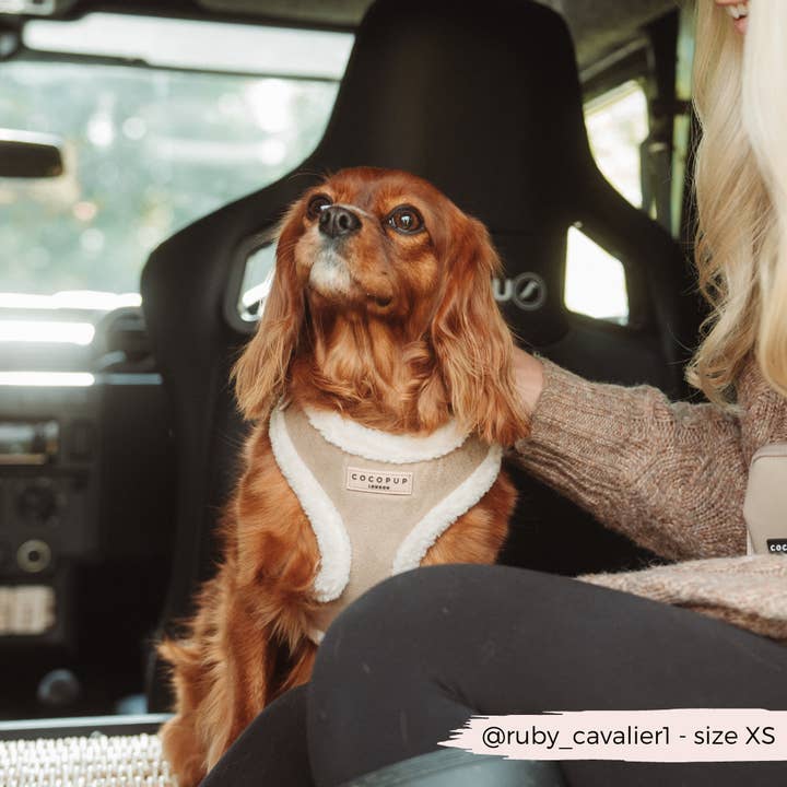 Cocopup London - Vendita all'ingrosso Pettorina - Cani - Pettorina da collo regolabile Nude Aviator8