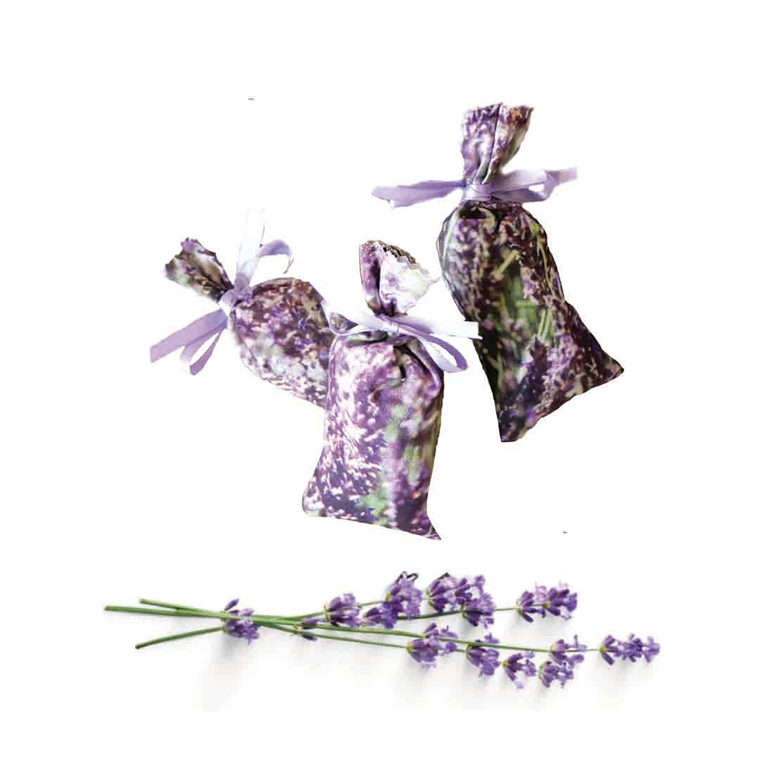 Aromedi - Wholesale Sachet - Lavender Lavender Sachets x34