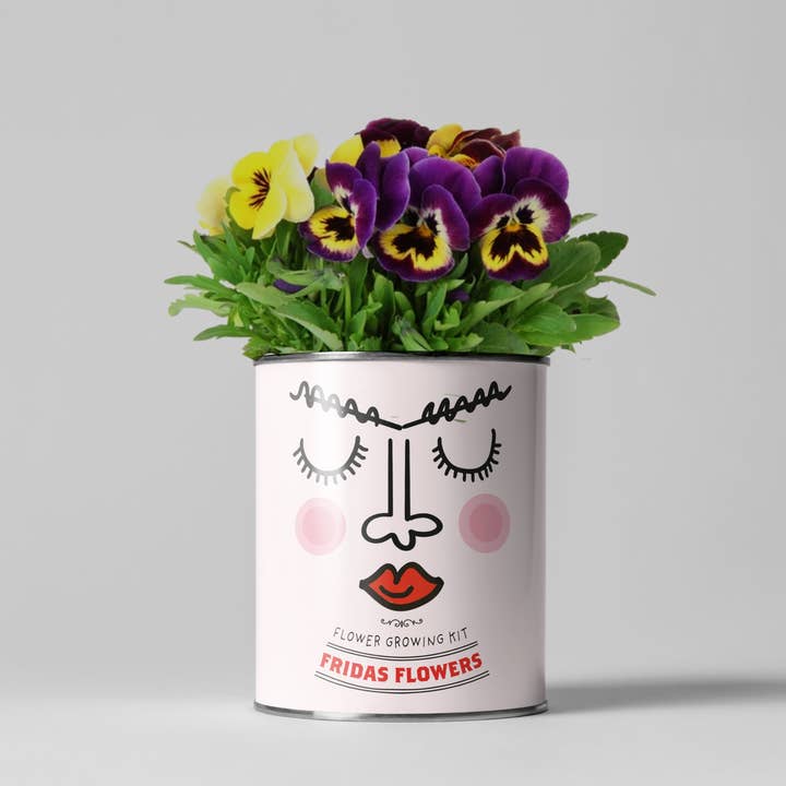 The Plant Gift Co. – wholesale Plant seeds – Frida's Flowers. Eco Grow Your Own Plant, Gardening Kit.