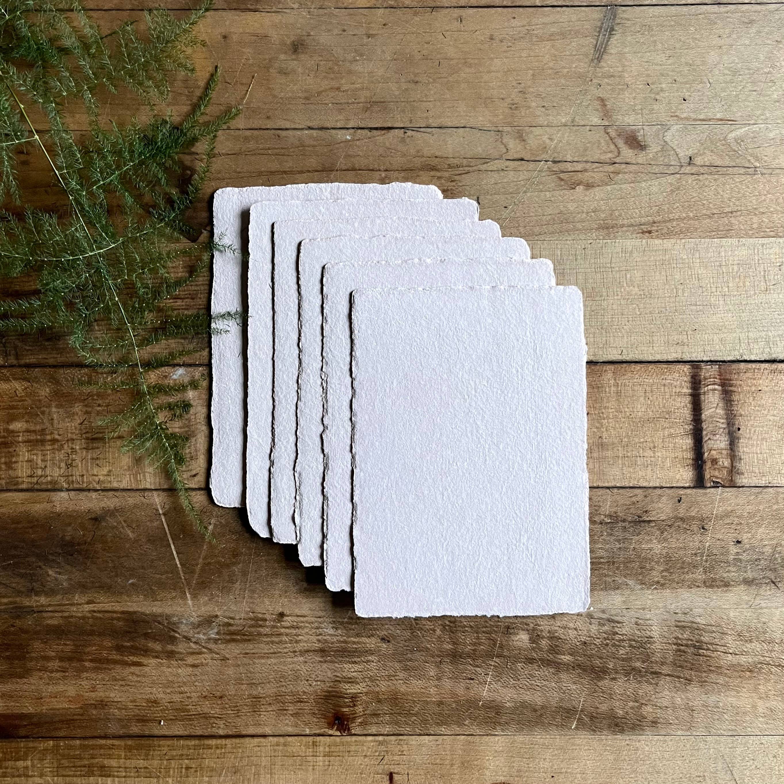 Bat Flower Press - Wholesale Stationery/Notecard Set - Mini sets of cards with envelopes5